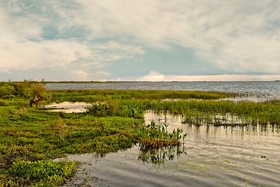 Parc National  Esteros del Ibera - Corrientes - Argentine