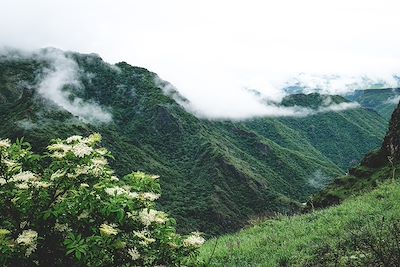 Randonnée dans la vallée de Debet - Arménie