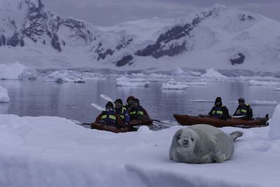 Sortie en Kayak - Antarctique