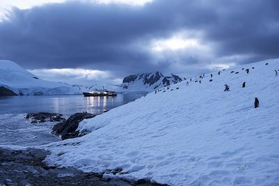 © Philippe Chancel - Le Plancius en terre de Graham - Antarctique Le Plancius en terre de Graham - Antarctique