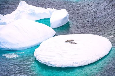 © BRUSINI Aurélien / hemis.fr - Péninsule Antarctique, Terre de Graham, chenal Lemaire - Antarctique Péninsule Antarctique, Terre de Graham, chenal Lemaire - Antarctique
