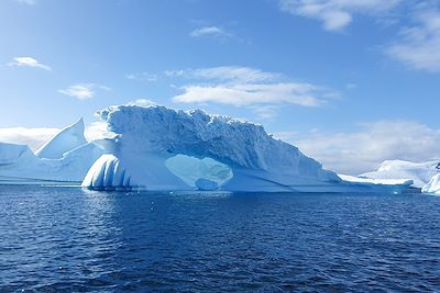 © Alice Fernandes - Ile Pléneau - Antarctique Ile Pléneau - Antarctique