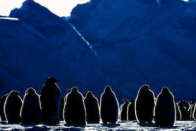 Voyage Terres Polaires Antarctique