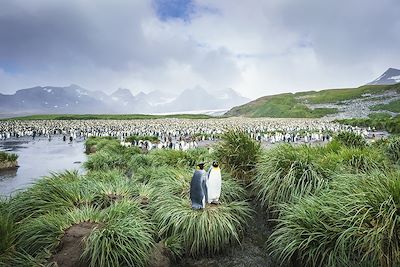 Voyage Terres Polaires Antarctique