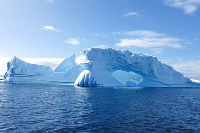 Ile Pléneau - Antarctique 