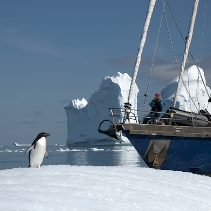 Navigation Antarctique Péninsule antarctique
