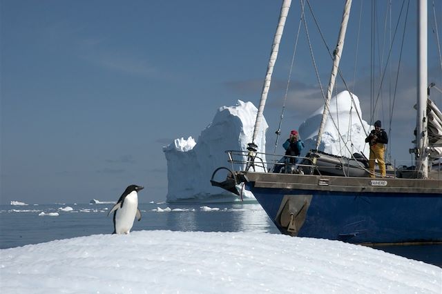 Voyage L'Antarctique à la voile, entre faunes et glaces