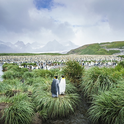 Voyage Antarctique