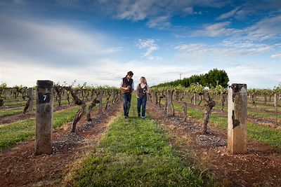 Couple dans les vignes de Coonawarra - Australie