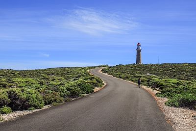 Ile de Kangourou - Australie-Méridionale - Australie