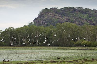 Parc national de Kakadu - Territoire du Nord - Australie