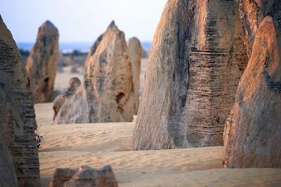 Le désert des Pinnacles - Australie