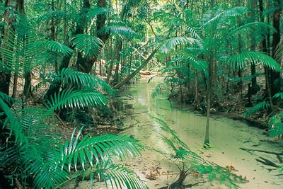 Fraser Island - Queensland - Australie
