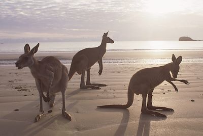 Voyage Australie, un condensé d'aventures 1