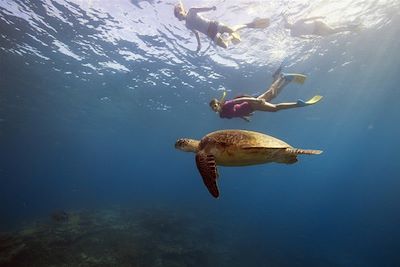 Grande barrière de corail - Queensland