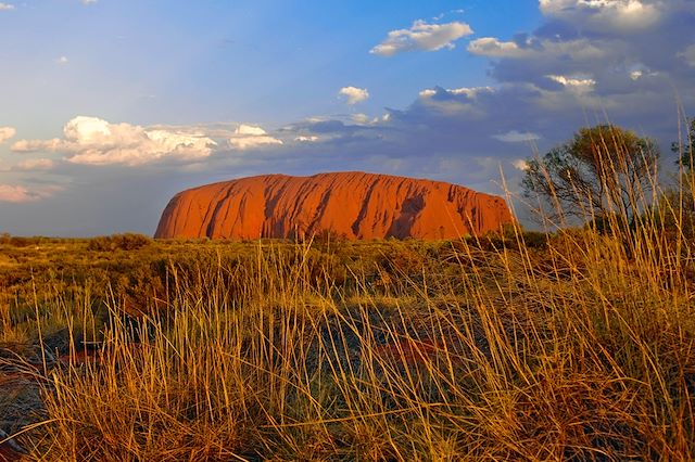 Voyage Du Bush Australien aux Sommets de Nouvelle-Zélande