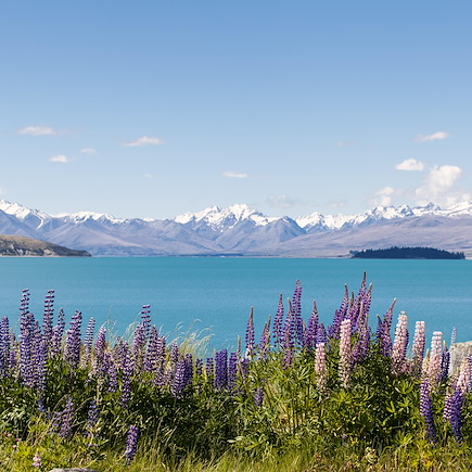 Randonnée Australie