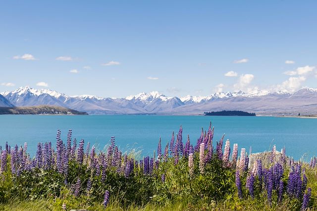 Voyage Du Bush Australien aux Sommets de Nouvelle-Zélande