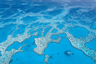 Grande Barrière de Corail - Whitsunday Islands - Queensland - Australie