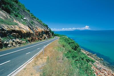 Captain Cook Highway - Daintree National Park - Queensland - Australie
