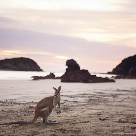 Multi-activités Australie