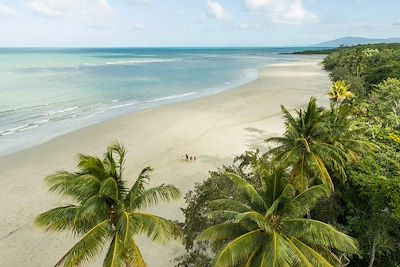 Myall Beach - Daintree National Park - Australie