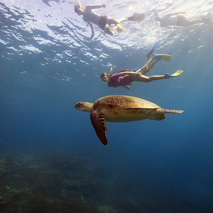Randonnée Australie