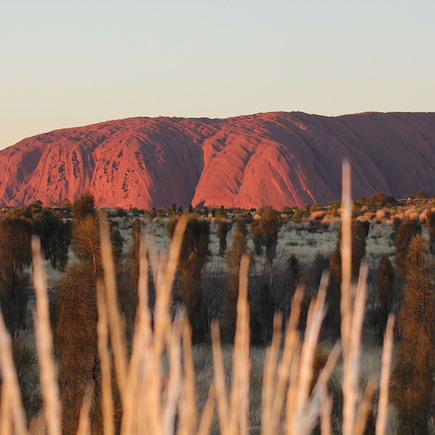 Observation animalière Australie