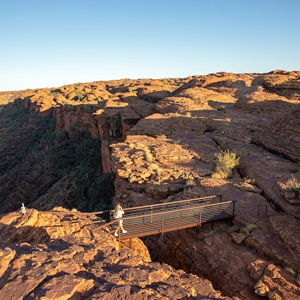 Observation animalière Australie
