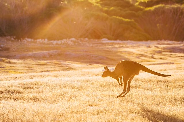 Voyage Les incontournables d'Australie