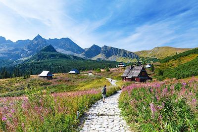 La vallée Gasienicowa dans les Tatras - Pologne