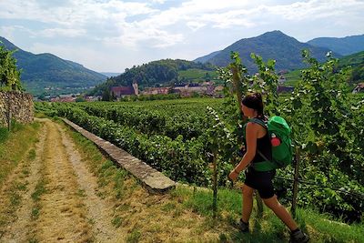 Voyage Le Danube et la vallée de la Wachau  1