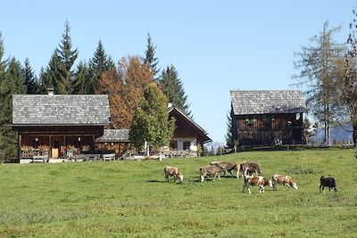 Voyage Le tour du Dachstein  3