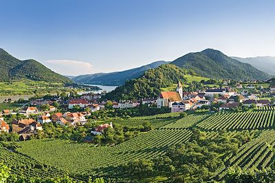 La vallée viticole de la Wachau - Autriche