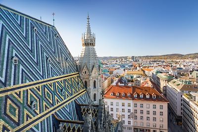 © Sergey Alimov / Getty Images - Cathédrale Saint-Étienne de Vienne - Vienne - Autriche Cathédrale Saint-Étienne de Vienne - Vienne - Autriche