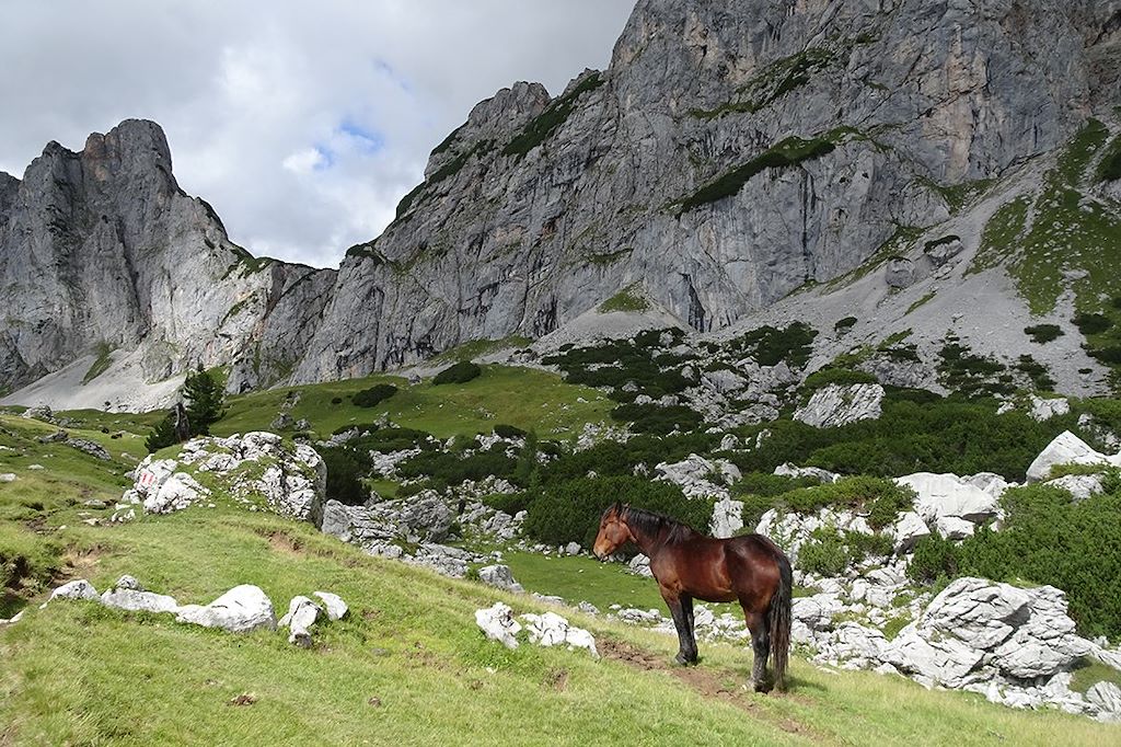 Image Randonnée Tyrol - Randonnée Dachstein - Visite Hallstatt