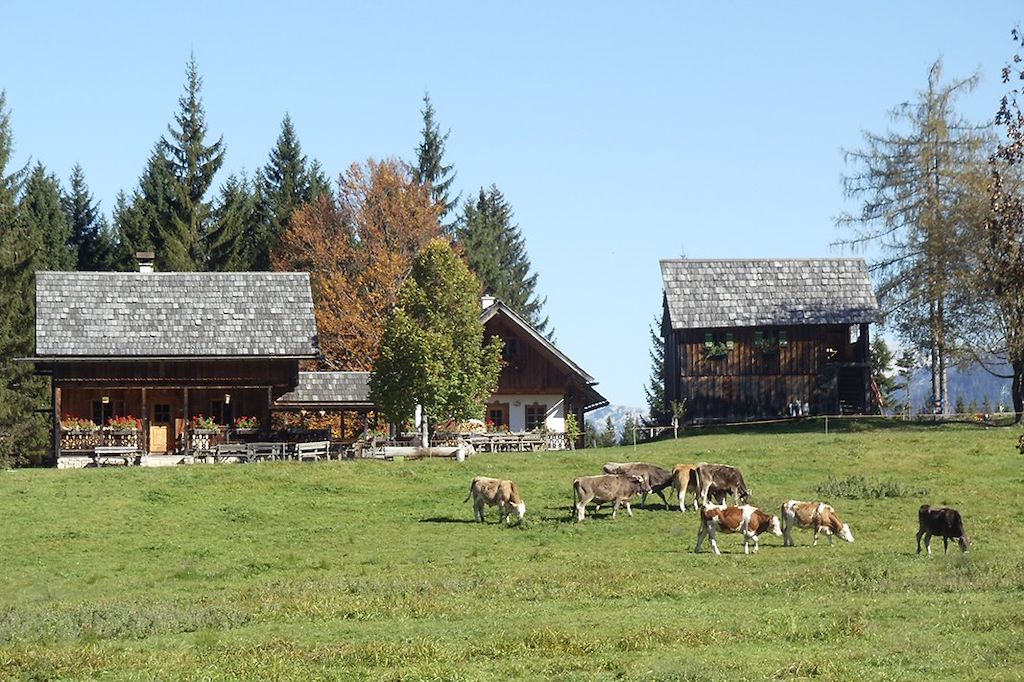 Image Randonnée Tyrol - Randonnée Dachstein - Visite Hallstatt