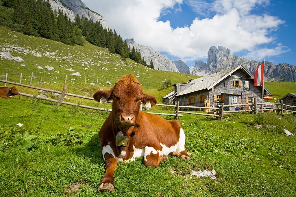 Image Randonnée Tyrol - Randonnée Bavière - Randonnée Allemagne, Autriche et Italie