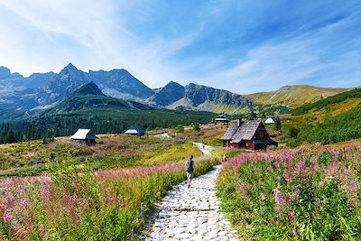 © dzika_mrowka / iStock - La vallée Gasienicowa dans les Tatras - Pologne La vallée Gasienicowa dans les Tatras - Pologne