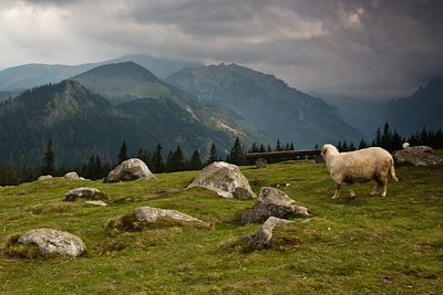 © Carpathian Adventures - Massif des Tatras - Pologne Massif des Tatras - Pologne