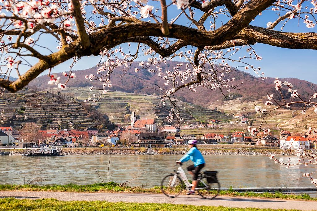 Image Piste cyclable du Danube - Passau Vienne à vélo - EuroVelo 6