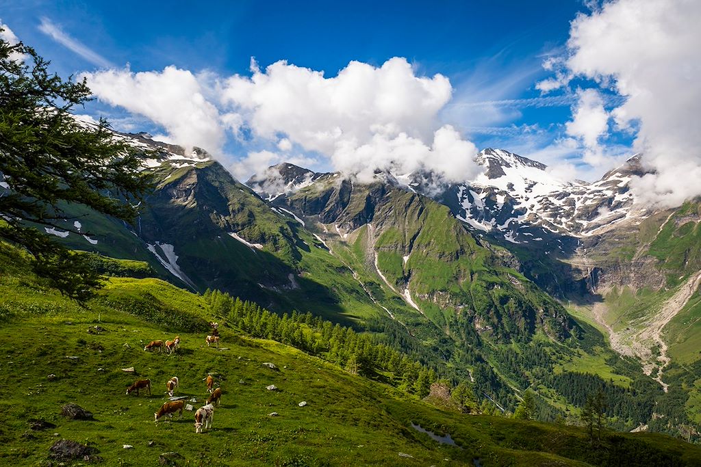 Image Randonnée Tyrol - Rando Grossglockner - Parc national des Hohe Tauern