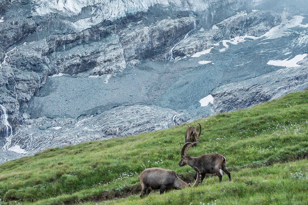 Image Randonnée Tyrol - Rando Grossglockner - Parc national des Hohe Tauern