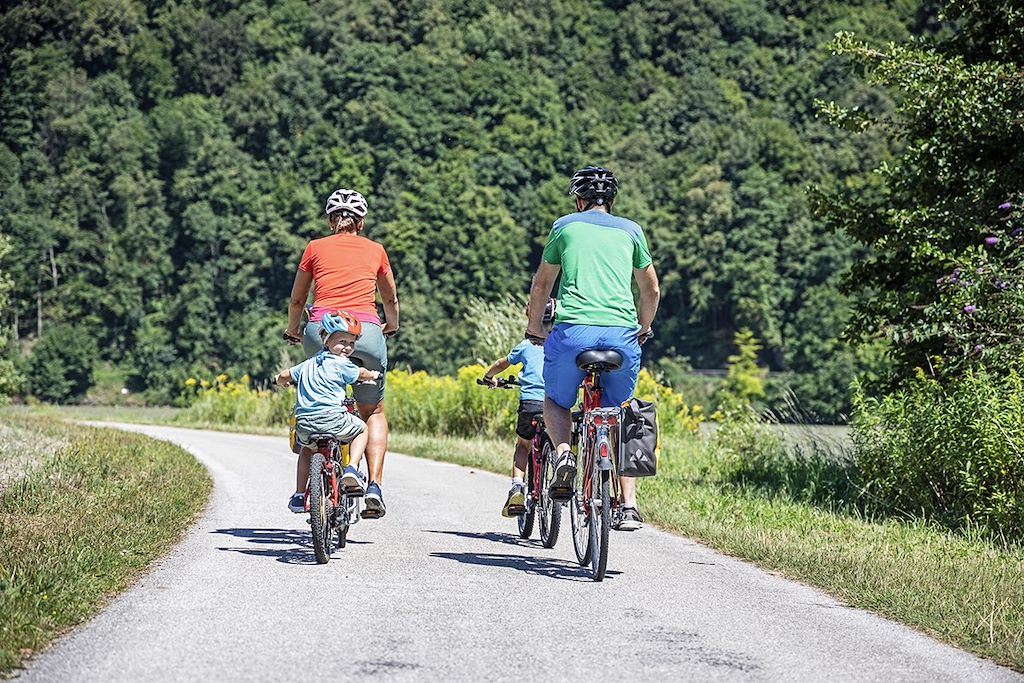 Image Le Danube de Linz à Vienne - Danube à vélo en famille