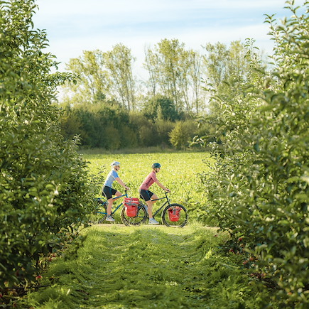 Vélo Belgique