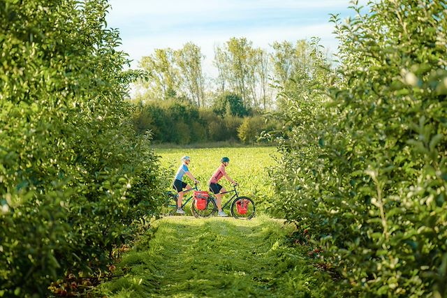 Voyage Escapade à vélo à Bruges au coeur de la Flandre