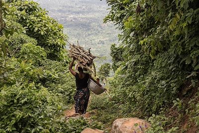 © ludovic / Adobe Stock - Femme portant du bois sur la tête - Bénin Femme portant du bois sur la tête - Bénin