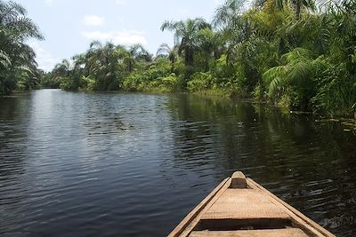 © James Nature Pics / Adobe Stock - Rivière noire d'Adjarra - Bénin Rivière noire d'Adjarra - Bénin