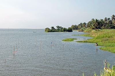 © Grazyna Bonati / Alamy / Hemis - Lac Ahémé - Bénin Lac Ahémé - Bénin