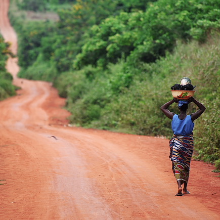 Découverte Bénin